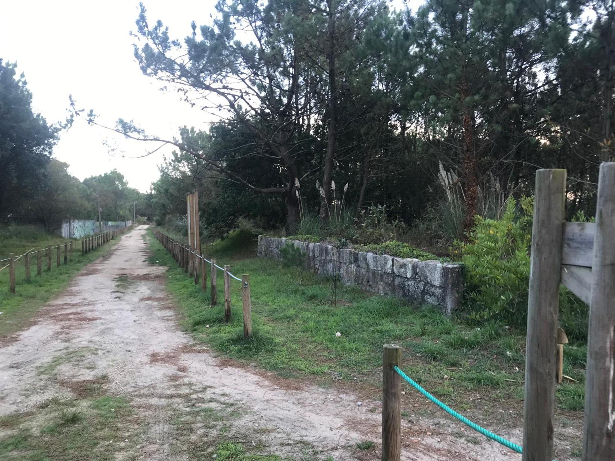 Arvore Cozy Com Jardim מראה חיצוני תמונה